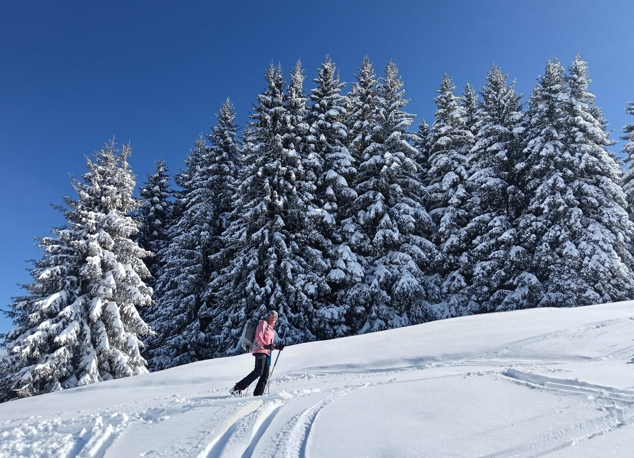 Excellente neige !