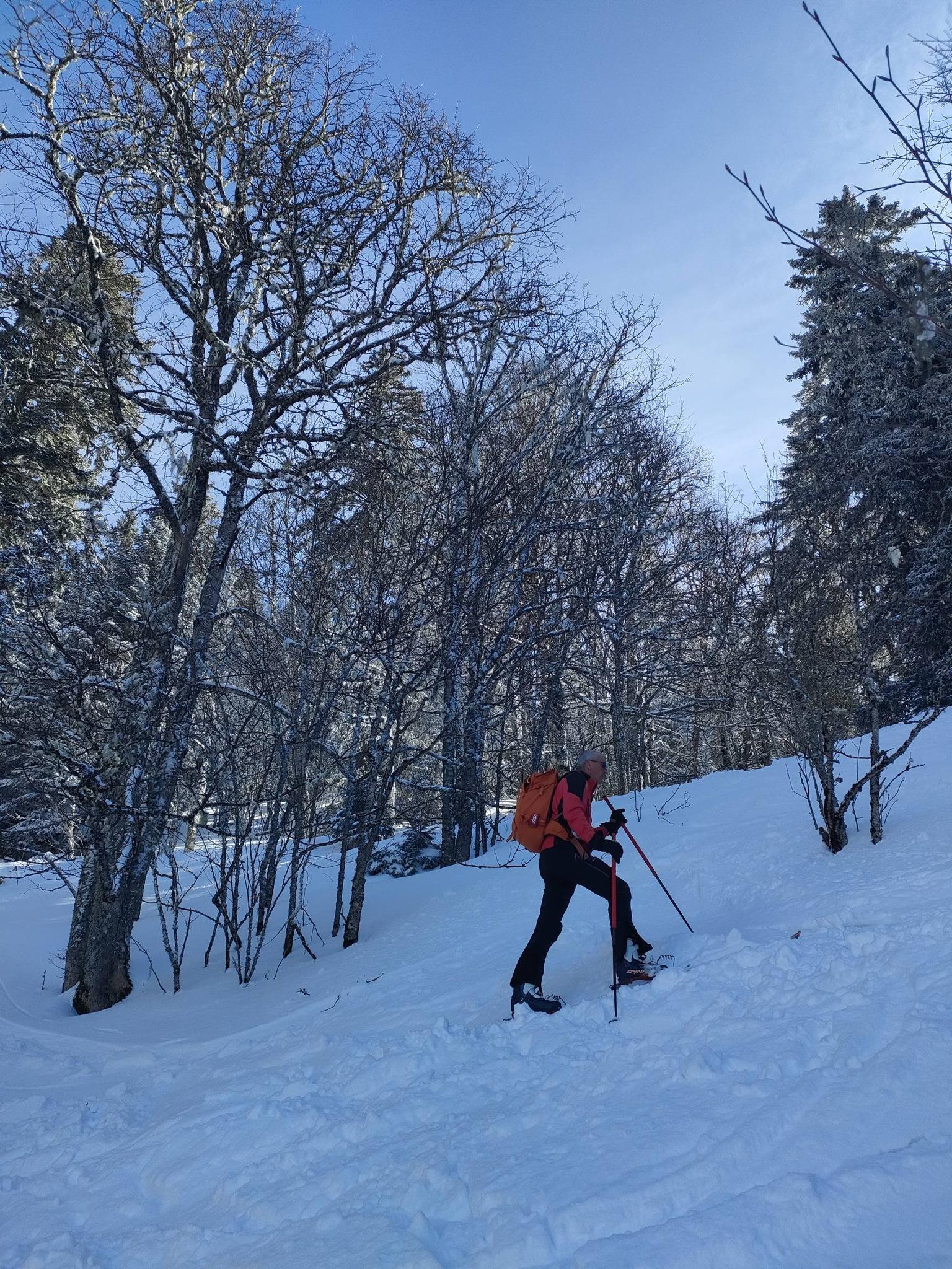 Excellente neige