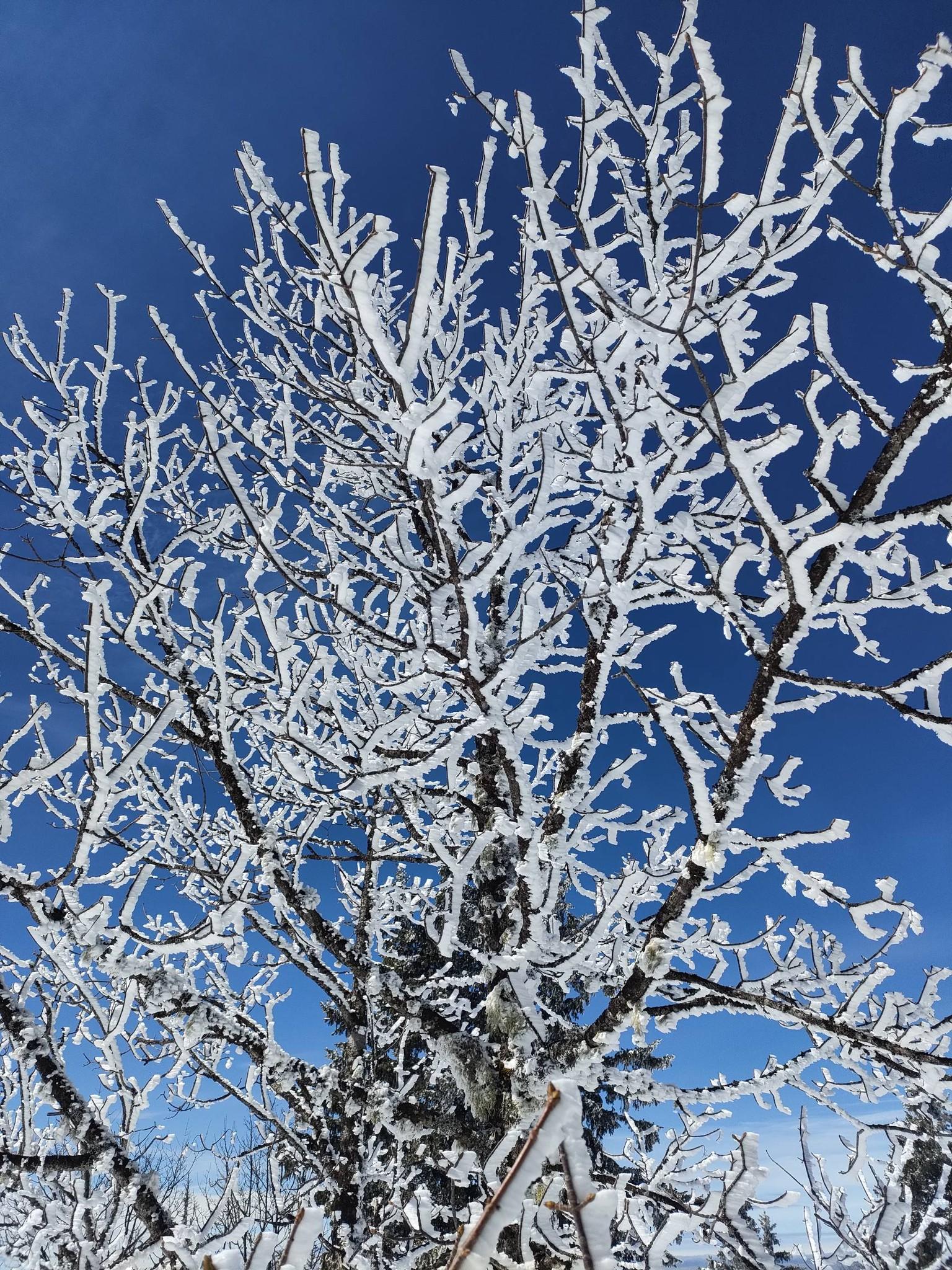 Excellente neige