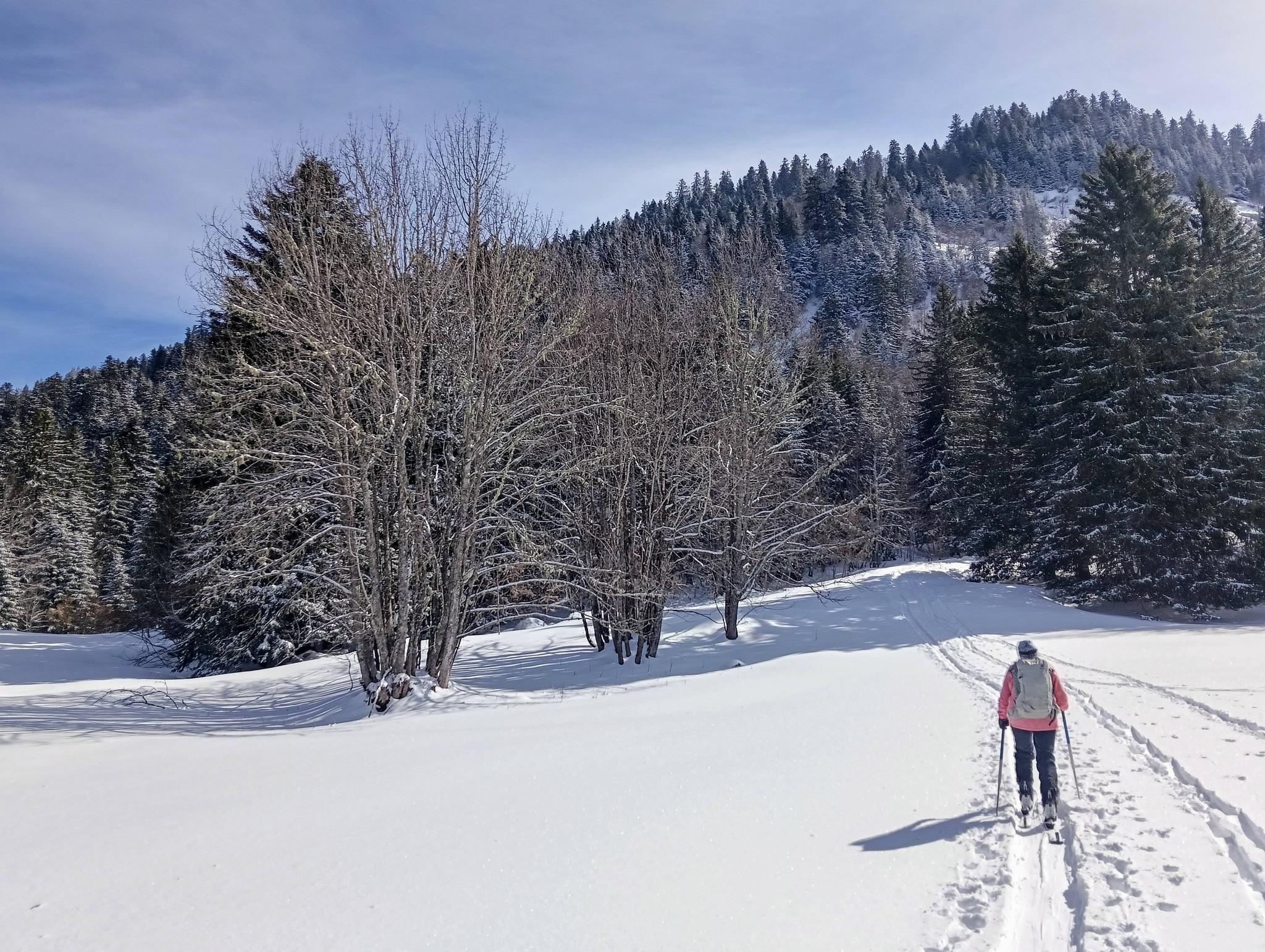 Excellente neige