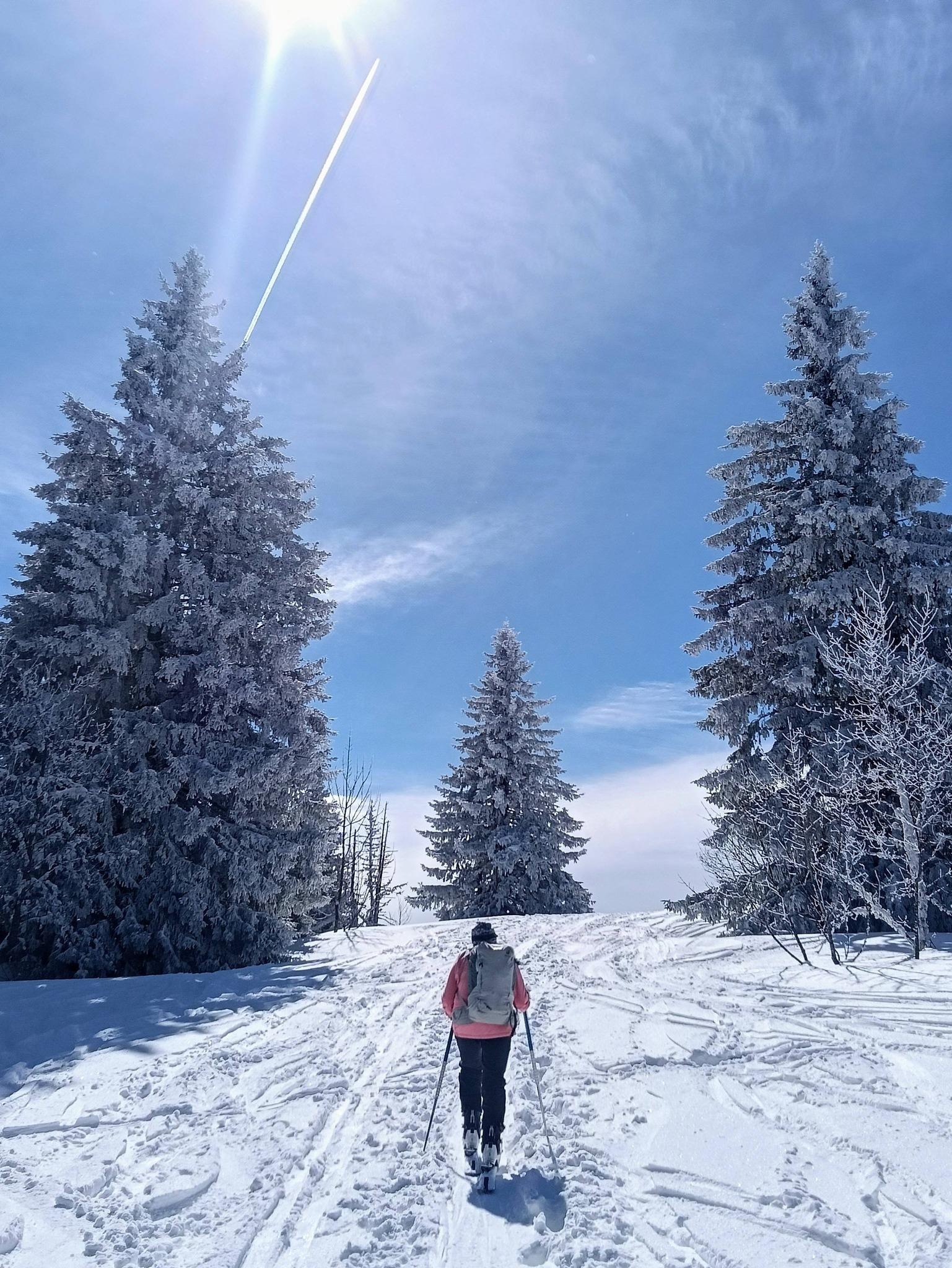 Excellente neige