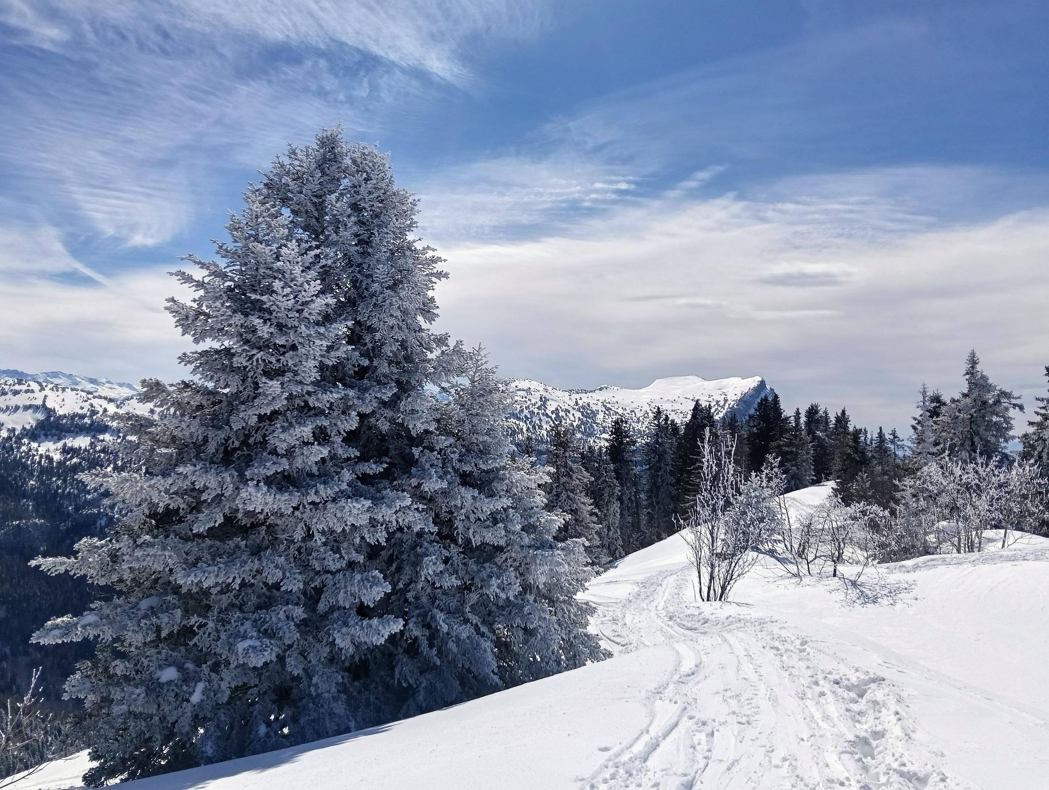 Excellente neige