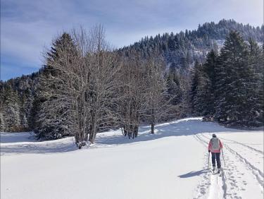 Excellente neige (La Scia)