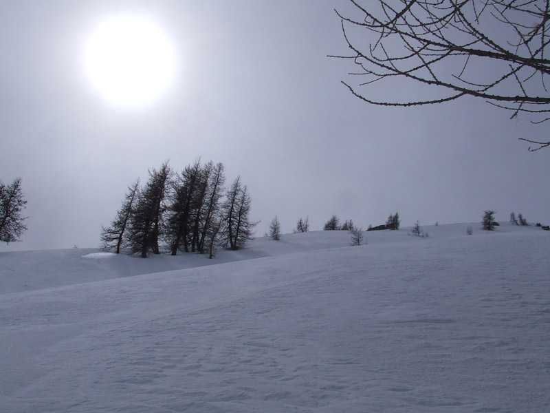 Face N Mont Guillame