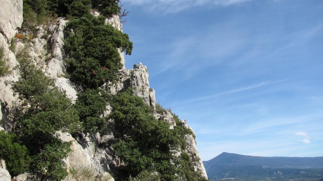 Fissure d'accés à la terrasse avant la chambre du