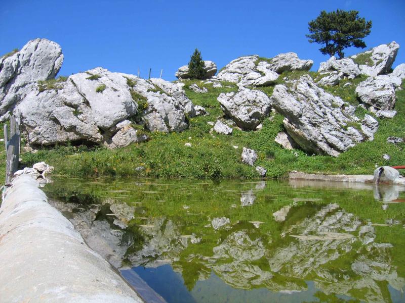 Fontaine de l'Aulp du Seuil