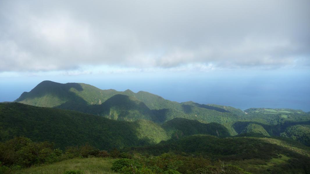 Forêt Départementale
