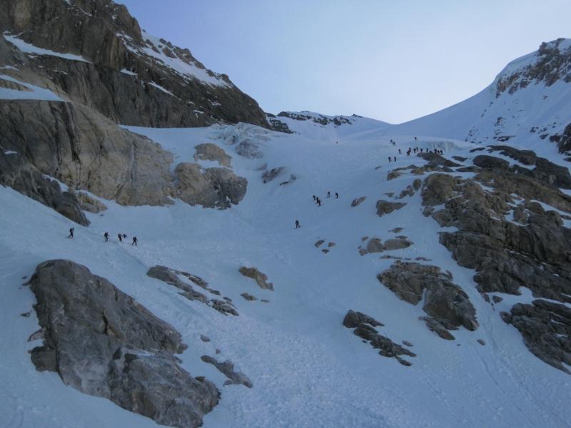 Fourmilière à la Grande Casse