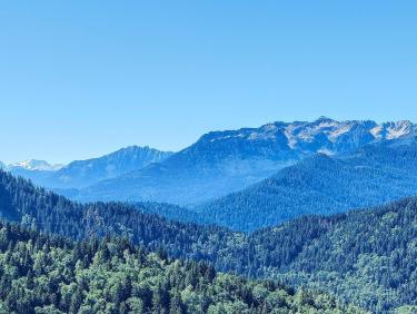 F38F08D9-5D72-4DB0-9FD3-F3F765214C50.