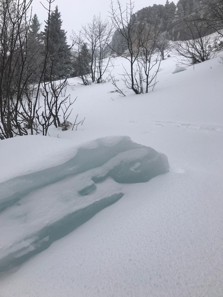 DÃ©but dâ€™une Ã¨re glaciaire Ã  Chamechaude...