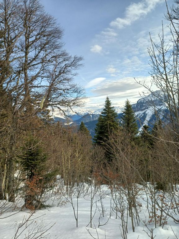 Ski de randonnée , une dernière avant le mauvais temps...Canaple depuis le Col de Porte