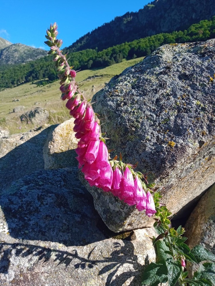 Fabuleux vallon !
