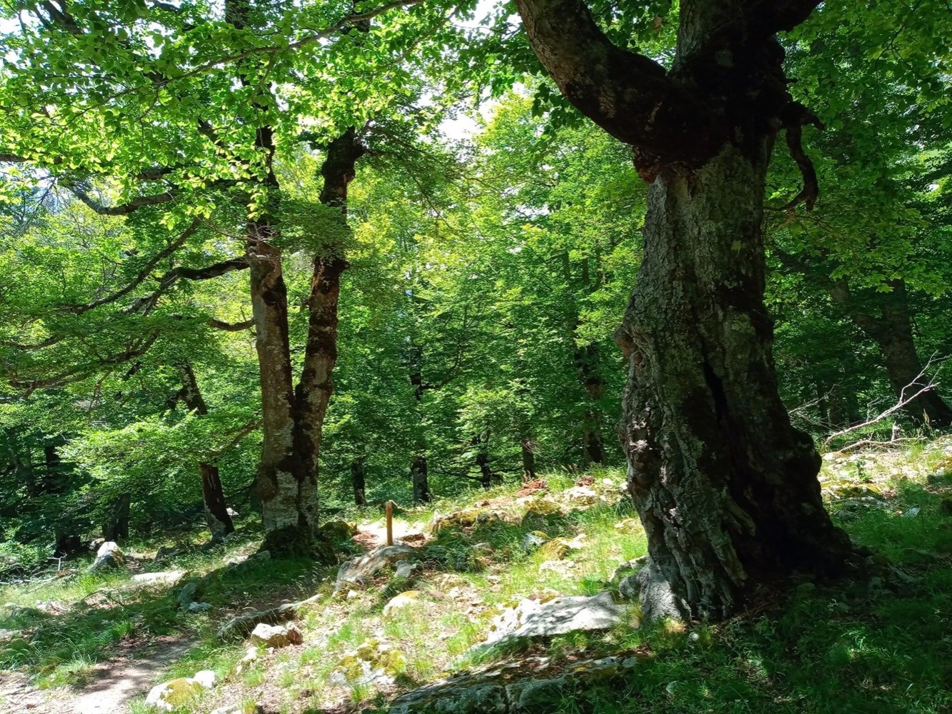 Fabuleux vallon !