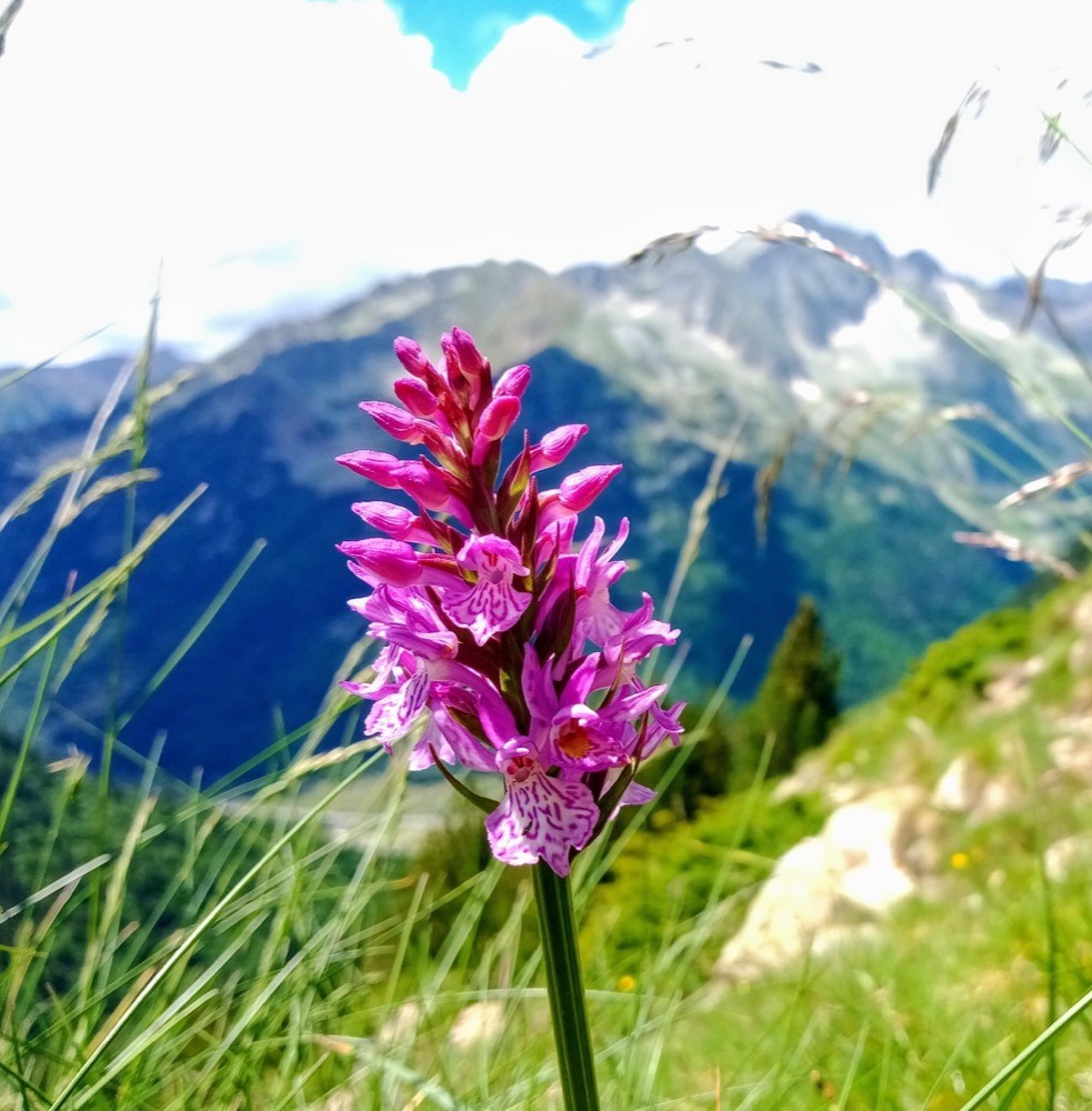 Fabuleux vallon !