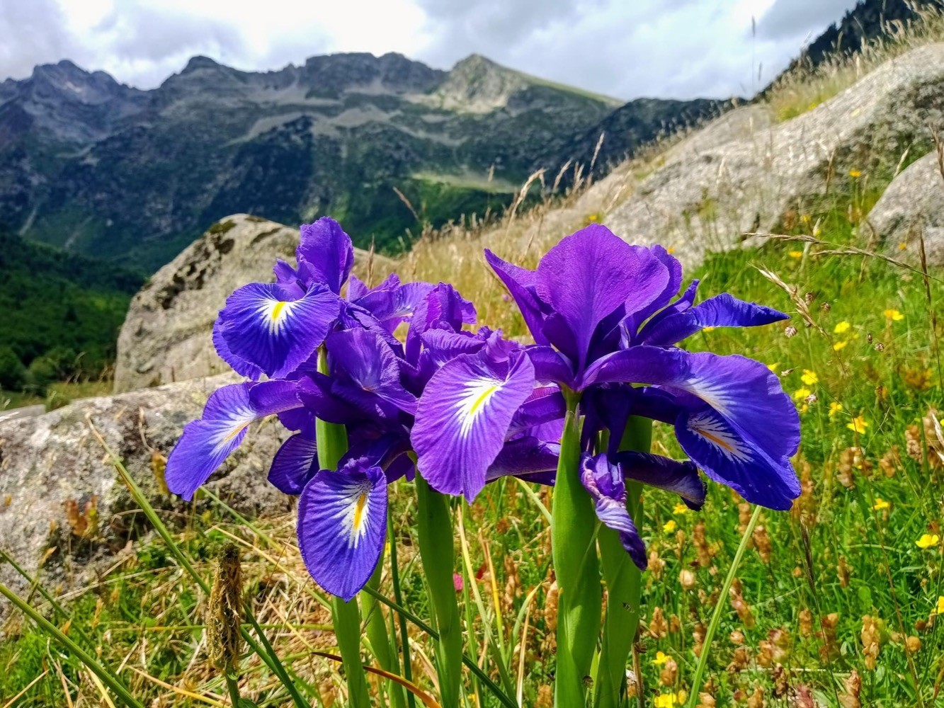 Fabuleux vallon !