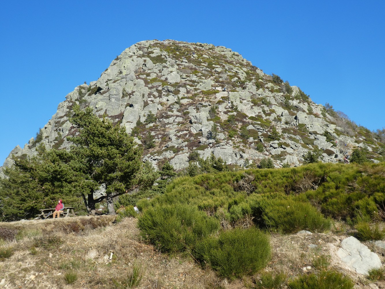 Face de descente du Gerbier