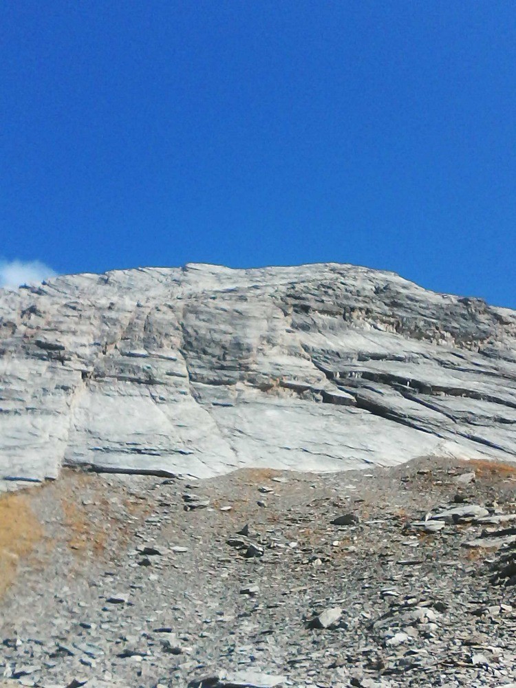 face ouest de la "taillante"au retour , prÃ¨s du lac forÃ©ant