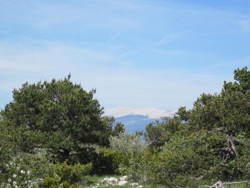 face au Ventoux