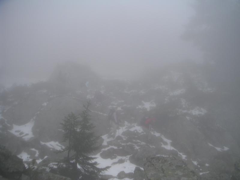 fantômes dans le brouillard