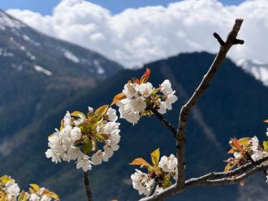 Saint-Étienne-de-Tinée - Croix de Selasse