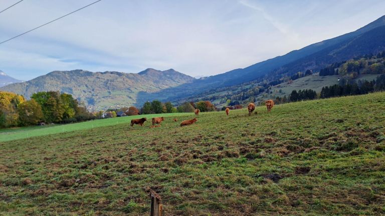 VTT en mode exploration