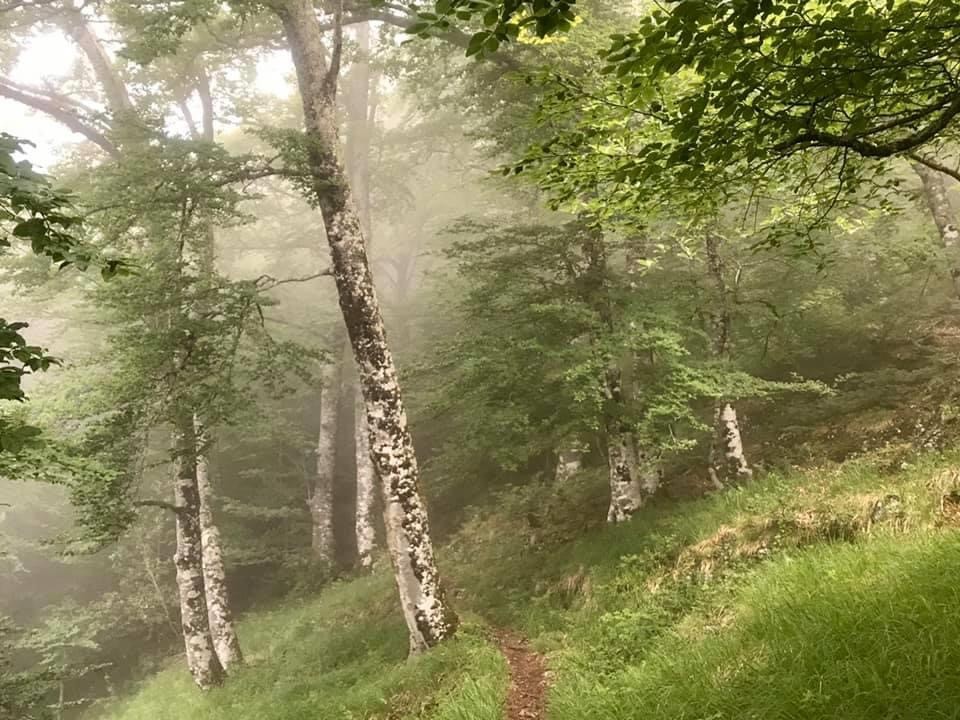 Fenetre météo minuscule 