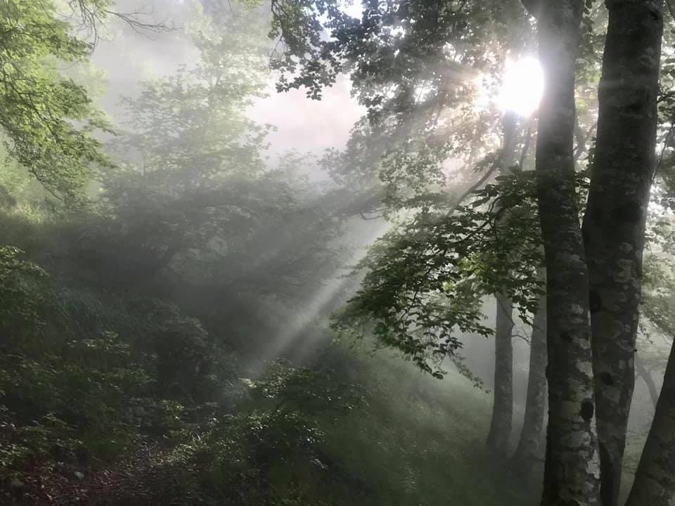 Fenetre météo minuscule 