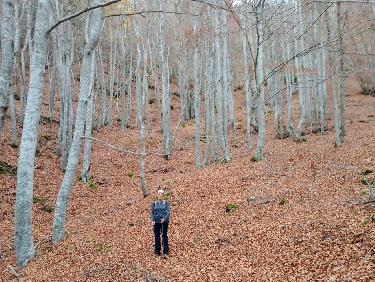 FF39E072-3FF1-4C77-A736-7A53A0D9AEE2.