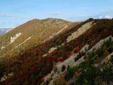 Flanc Ouest et sommet 1435 de Vaumuse