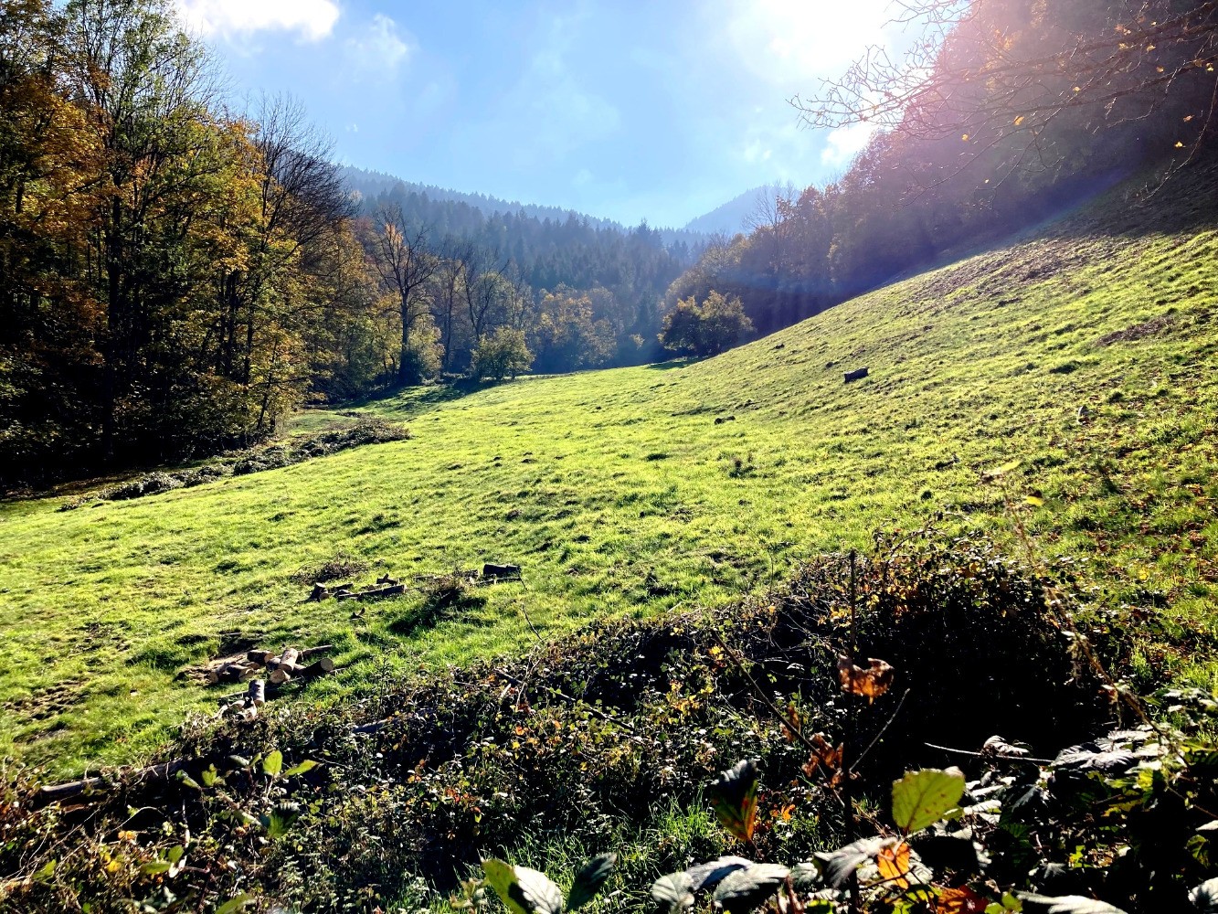 Fond du vallon de la Fare