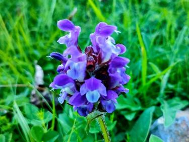 La fontaine Barbourride