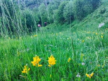 La fontaine Barbourride