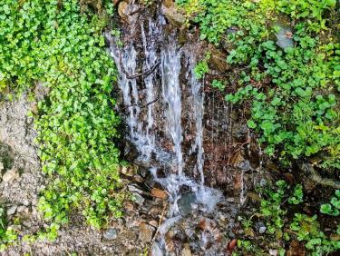 La fontaine Barbourride