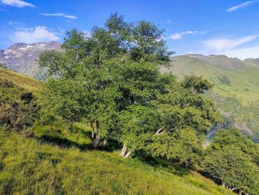La fontaine Barbourride