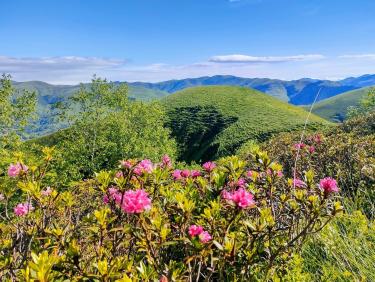 La fontaine Barbourride