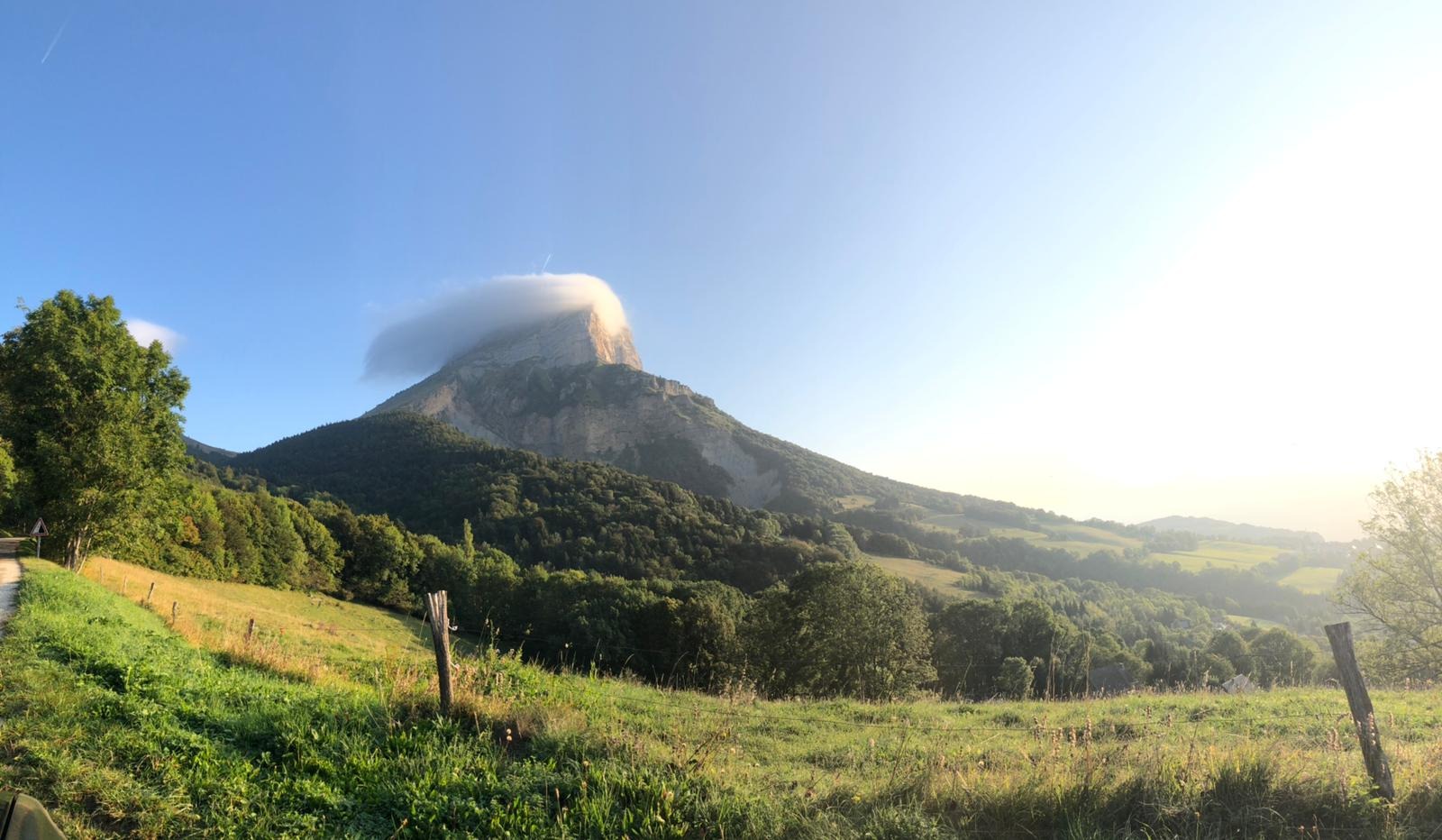 Foule et fog a la dent