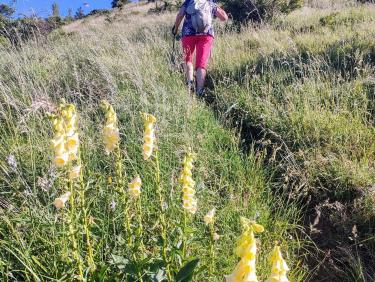 Le four à thermique 