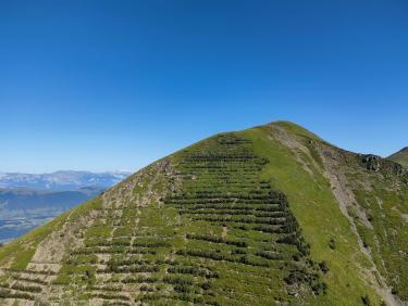 Le four à thermique 