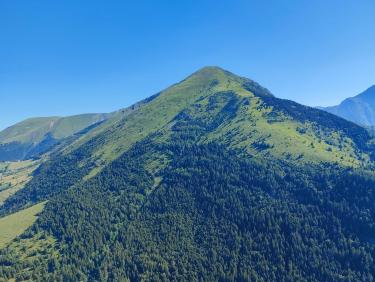 Le four à thermique 