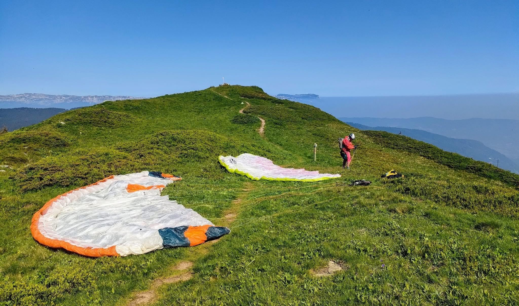 Les fraises du Haut-Bréda 