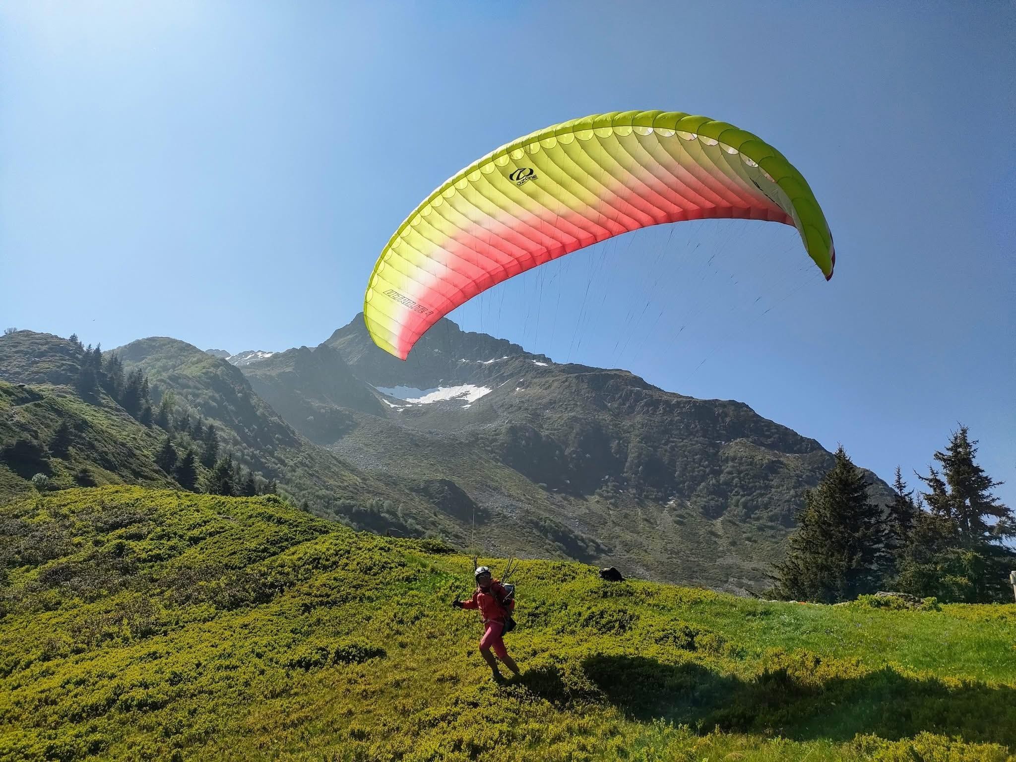 Les fraises du Haut-Bréda 