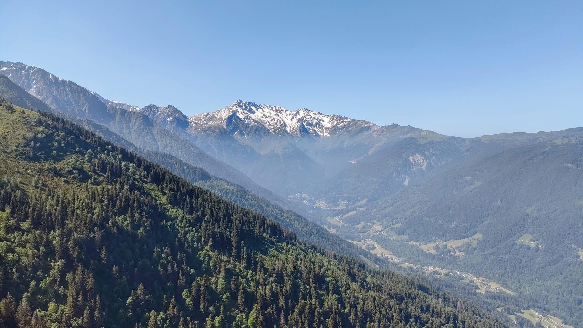Les fraises du Haut-Bréda 