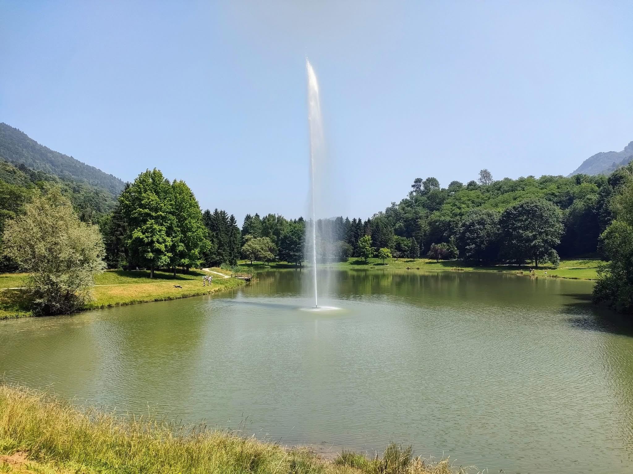 Les fraises du Haut-Bréda 