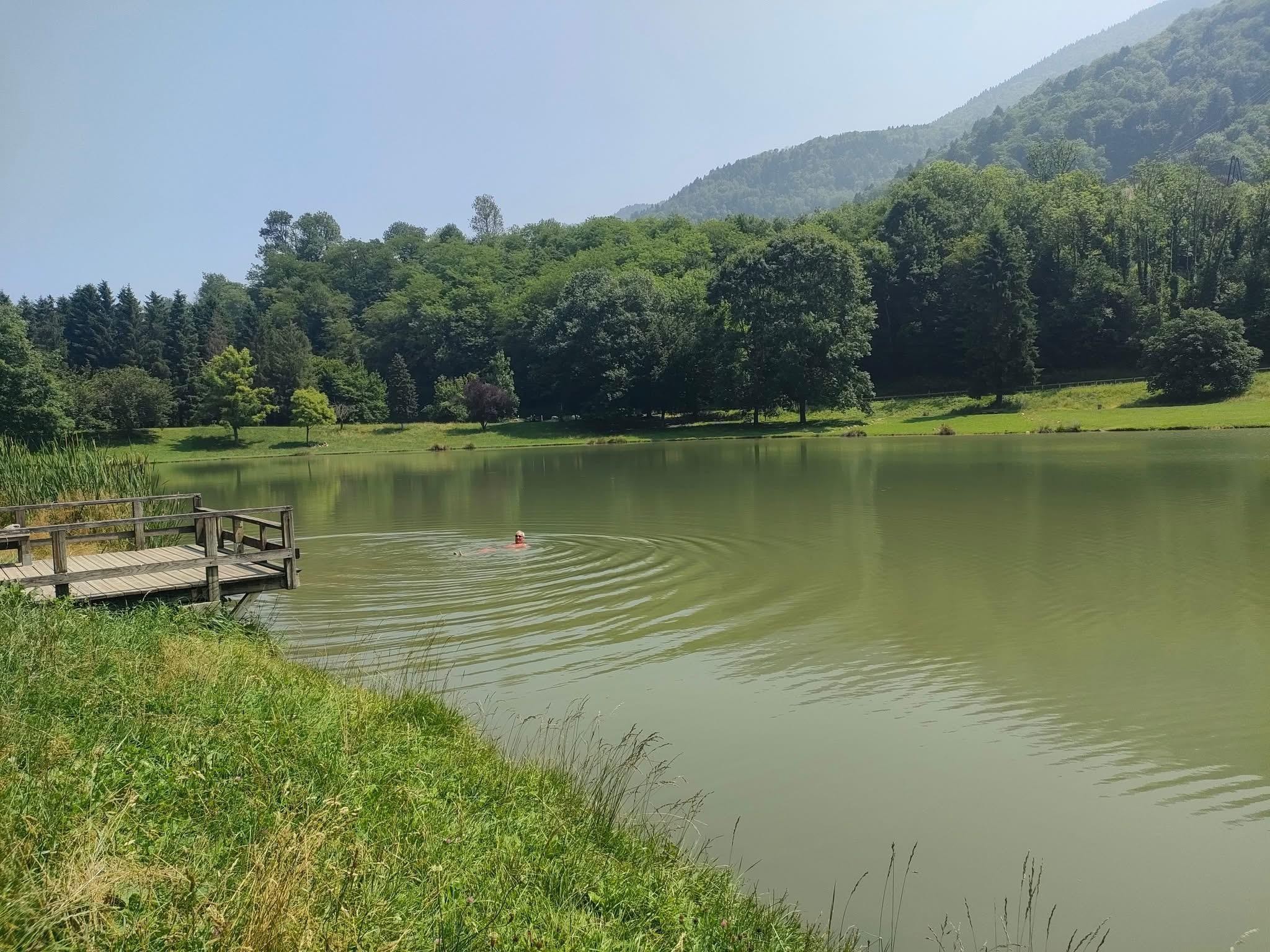 Les fraises du Haut-Bréda 