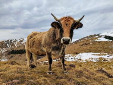 Frustration à l&apos;Homme de Pierre