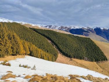 Frustration à l&apos;Homme de Pierre