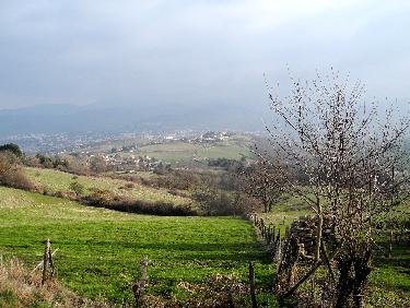 Fugace rayon de soleil