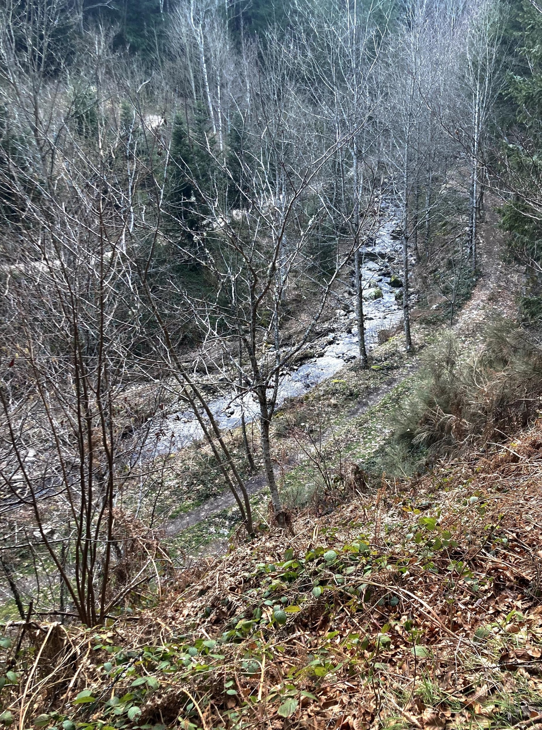 Le Furan depuis le chemin haut