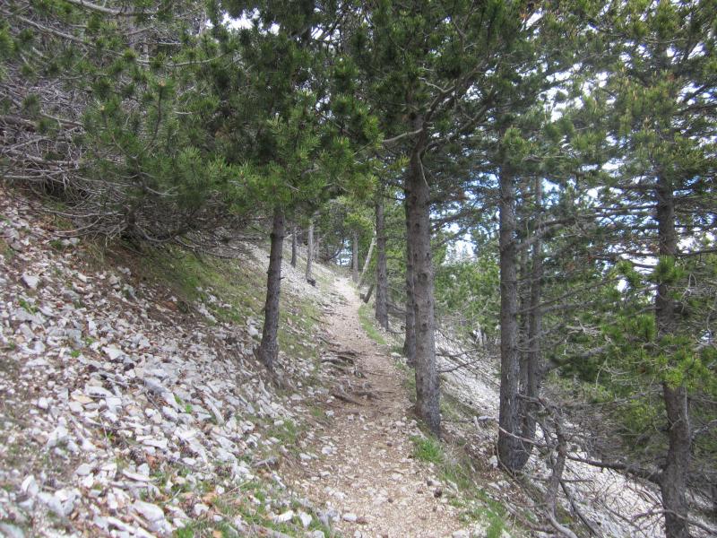 GR4