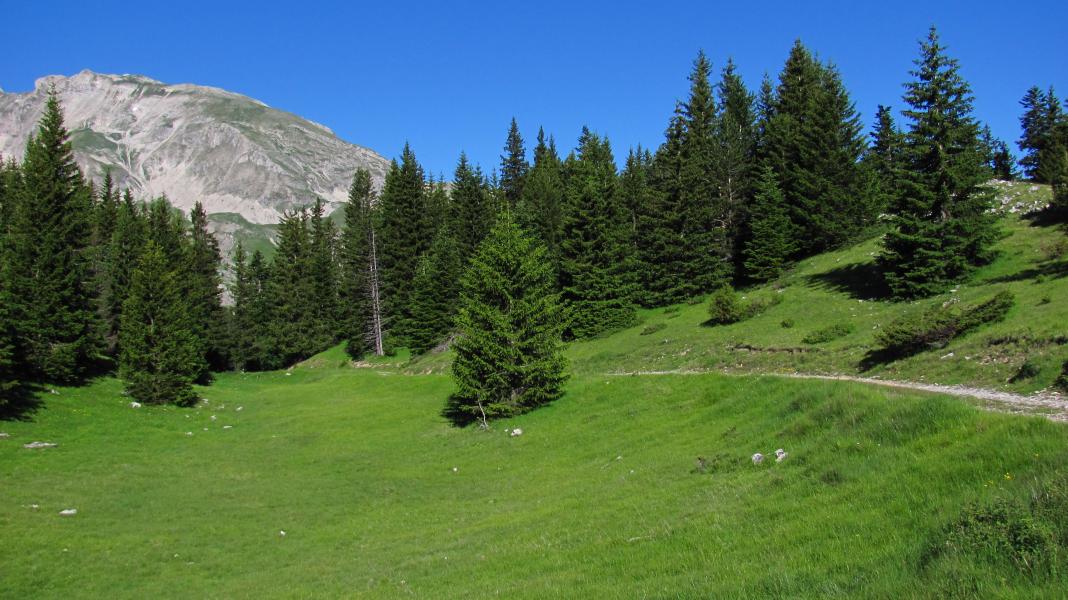 GR vers le col de Rabou